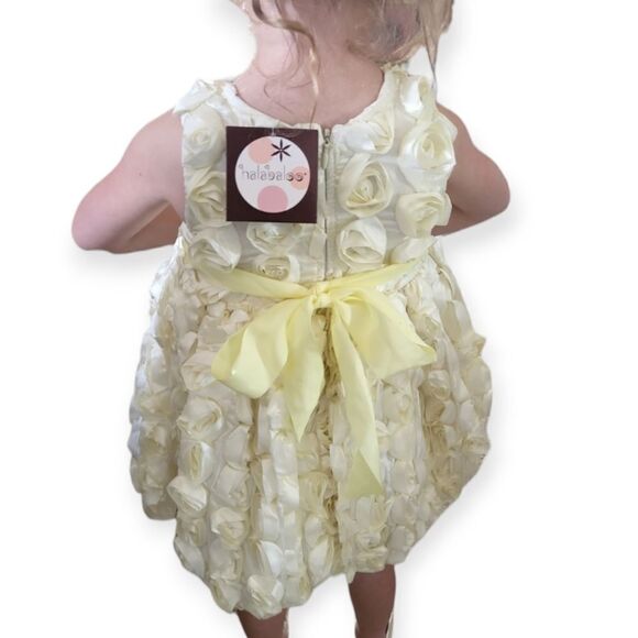 NWT Halabaloo Rosette Special Ocassion Dress - Picture 3 of 8